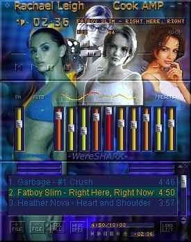 Rachael Leigh Cook AMP pic